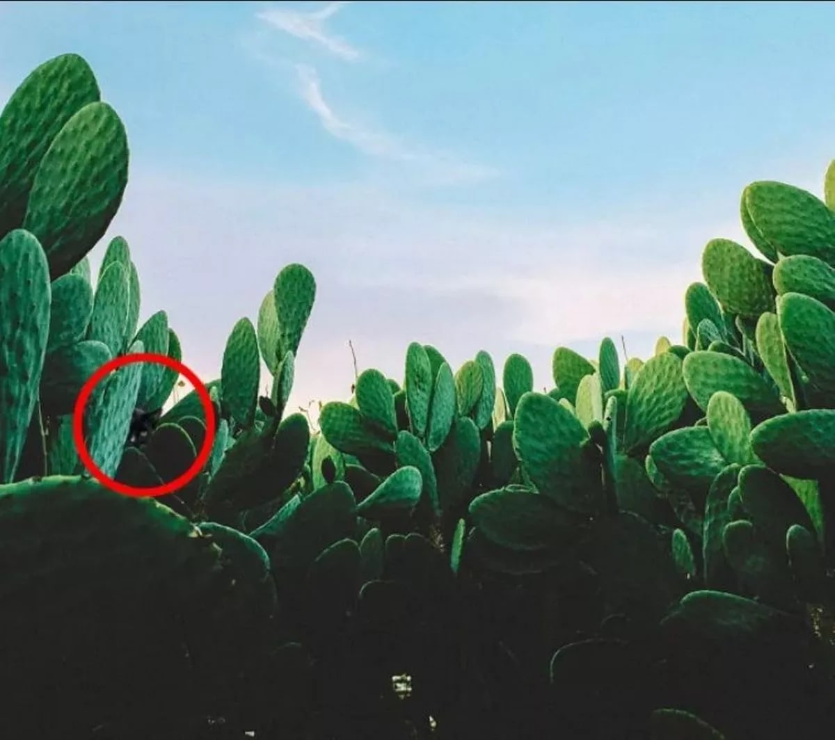 Správná odpověď na hádanku 