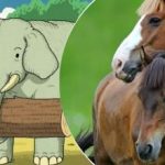 Hádanka pro génie: ne každý dokáže najít skrytého koně za