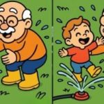 IQ test: najděte 3 rozdíly mezi obrázkem dědečka a vnuka