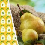 Pouze 2 % lidí dokáží najít slovo „hruška“ za 10